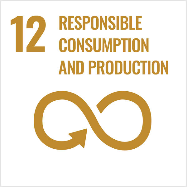 #12 Établir des modes de consommation et de production responsables, en or
