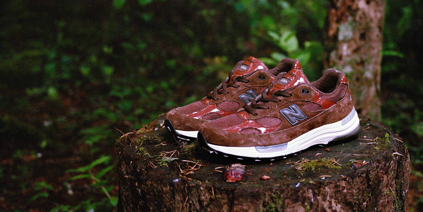 Pair of burgundy and brown Amin&eacute; x NB 992s on a log with foliage in the background 