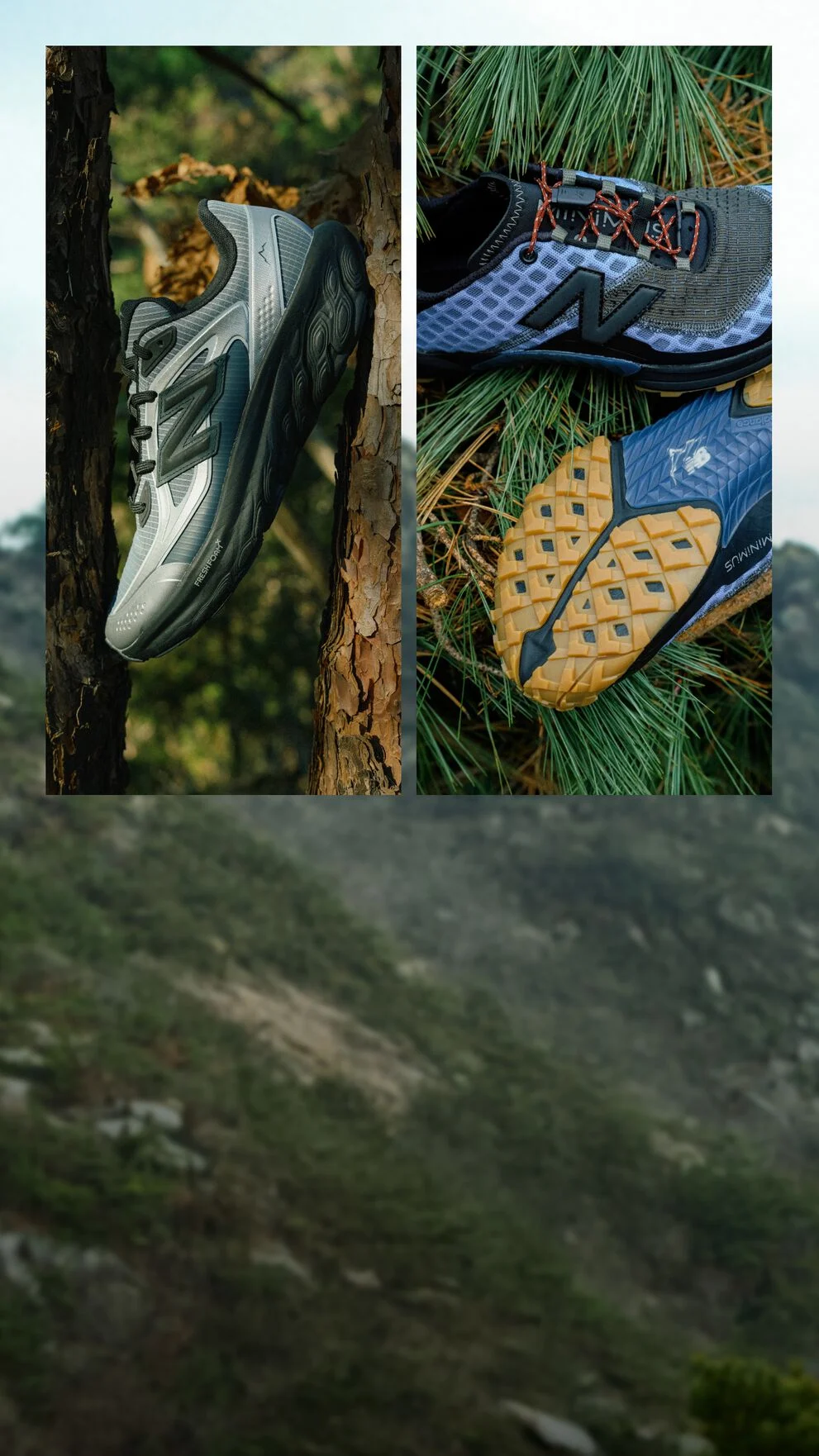 A landscape scene with mountains on the left and two close-up panels on the right showing trail running shoes placed on a tree trunk and among pine needles.