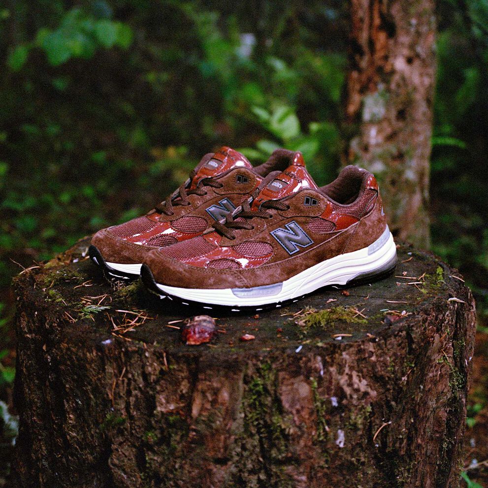 Pair of burgundy and brown Amin&eacute; x NB 992s on a log with foliage in the background 