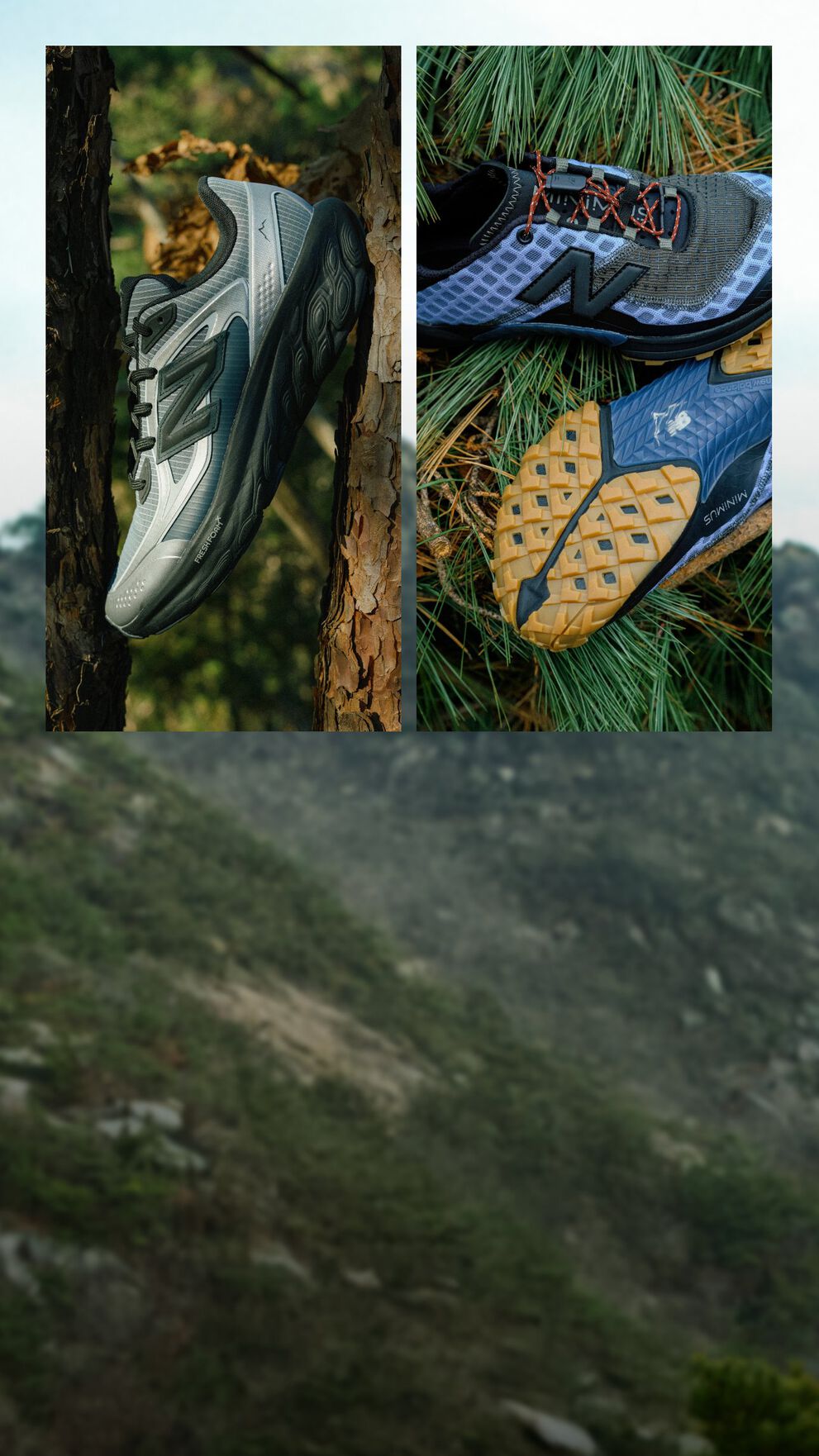 A landscape scene with mountains on the left and two close-up panels on the right showing trail running shoes placed on a tree trunk and among pine needles.